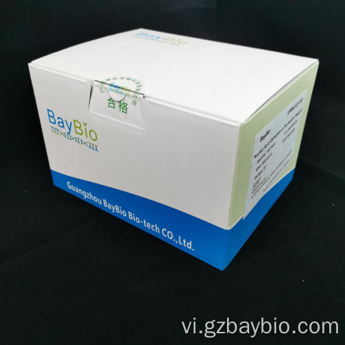 Bộ dụng cụ trích xuất axit nucleic codid-19